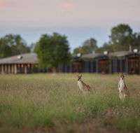Wildman Wilderness Lodge - Mackay Tourism