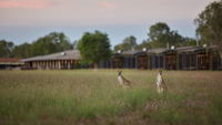 Book Point Stuart Accommodation Vacations Mackay Tourism Mackay Tourism