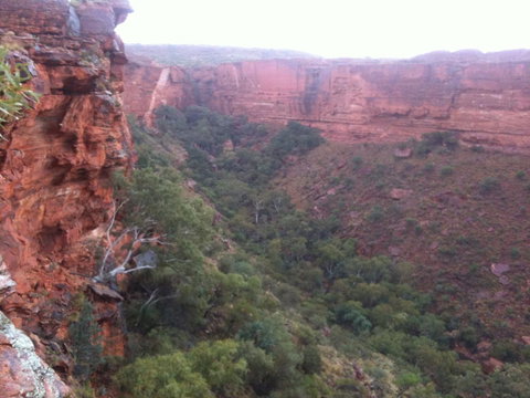 Discovery Resorts - Kings Canyon - Mackay Tourism 34