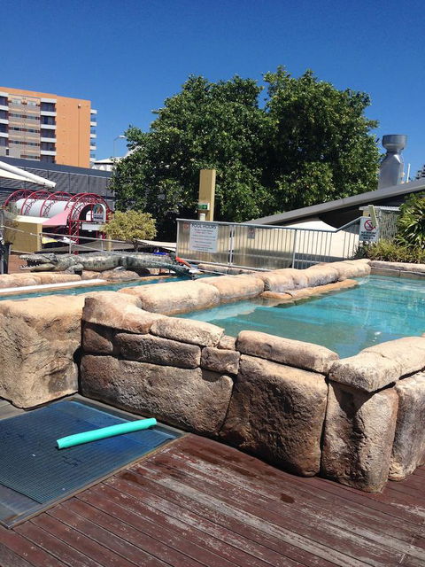 Melaleuca On Mitchell - Darwin YHA - Mackay Tourism 30