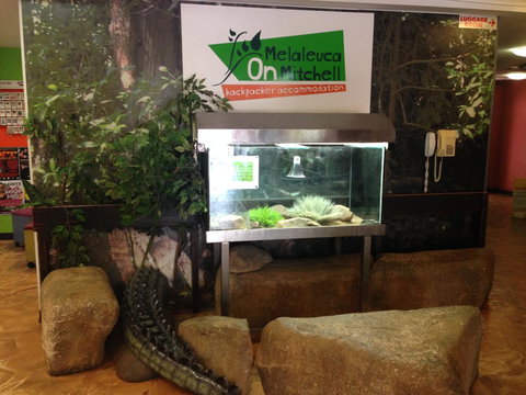 Melaleuca On Mitchell - Darwin YHA - Mackay Tourism 32