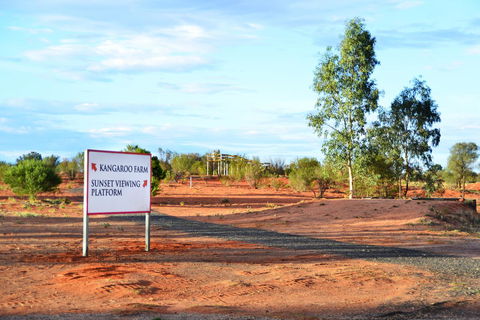 Erldunda Desert Oaks Resort - Mackay Tourism 28