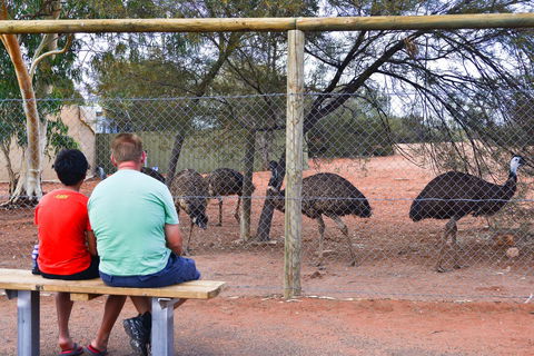 Erldunda Desert Oaks Resort - Mackay Tourism 21