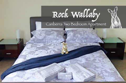 Rock Wallaby - Mackay Tourism 4