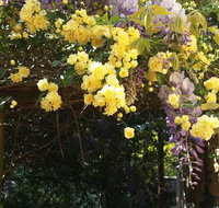 Bowral Road Bed and Breakfast - Mackay Tourism