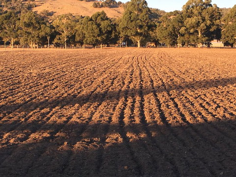 Braybrook Boutique BnB - Mackay Tourism 1