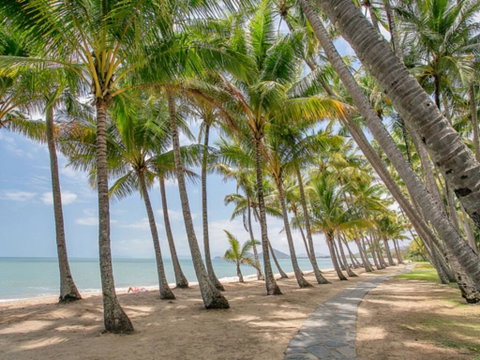Brindabella - Palm Cove - Mackay Tourism 3