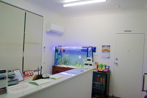 Buckaroo Motor Inn - Mackay Tourism 1