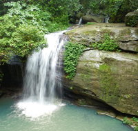 Buderim Forest Hideaway - Mackay Tourism