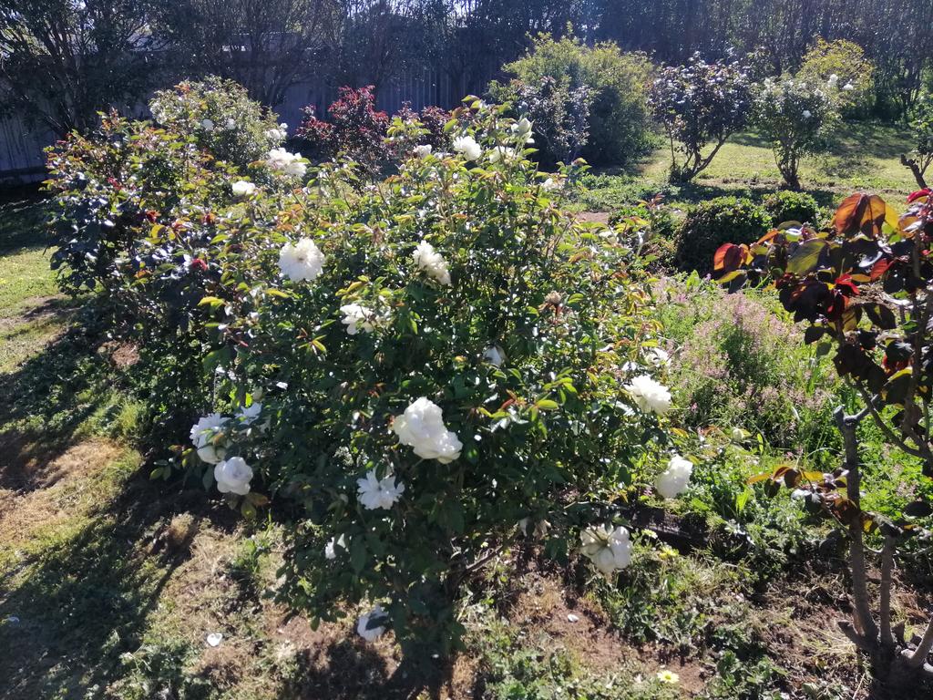 Carisbrook ACT Mackay Tourism