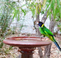 Caves Road Chalets - Mackay Tourism