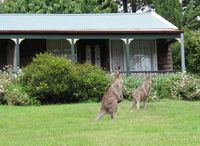 Book Mount Victoria Accommodation Vacations Mackay Tourism Mackay Tourism