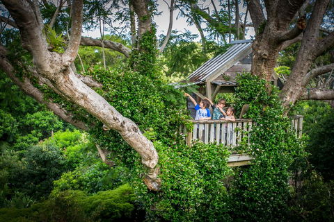 Charlotte's Web - Mackay Tourism 1