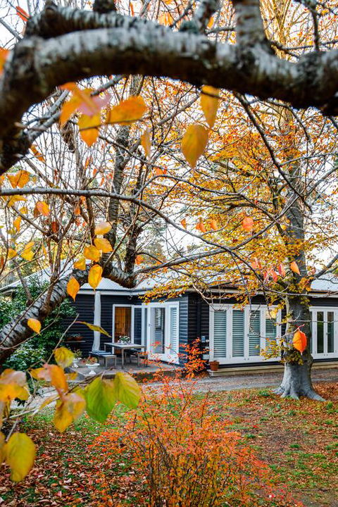 Charming Mountain Cottage - Mackay Tourism 3