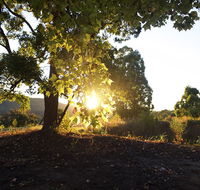 Clarendon Forest Retreat - Mackay Tourism