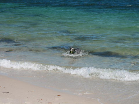 Close To The Myall River - Pet Welcome - Mackay Tourism 3