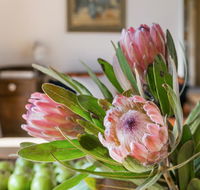 Cooee Cottage - Mackay Tourism