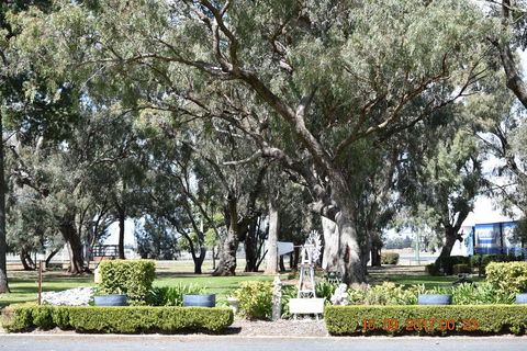Cooee Motel - Mackay Tourism 2