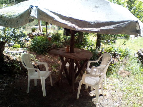 Country Studio - Mackay Tourism 1