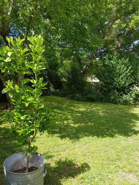 Cute Cottage On Byng - Walk To Town AND Pet Friendly - Mackay Tourism 3