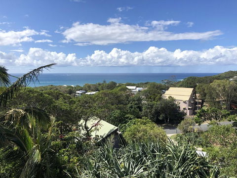 Cylinder Palms - Mackay Tourism 2
