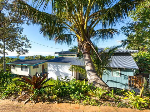 Cylinder Palms - Mackay Tourism 0