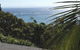Cylinder Palms - thumb 1