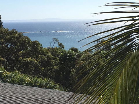 Cylinder Palms - Mackay Tourism 1