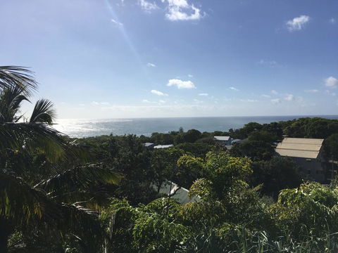 Cylinder Palms - Mackay Tourism 3