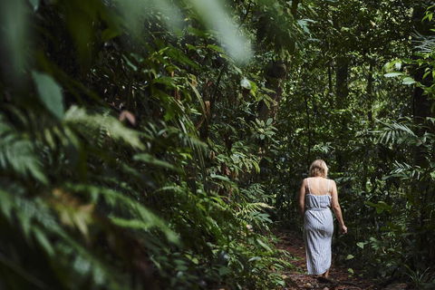 Daintree Ecolodge - Mackay Tourism 2