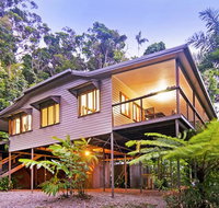Daintree Magic - Mackay Tourism