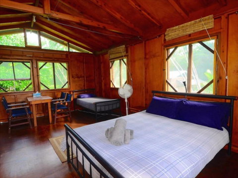 Daintree Rainforest Bungalows - Mackay Tourism 2