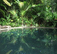 Daintree Rainforest Retreat Motel - Mackay Tourism