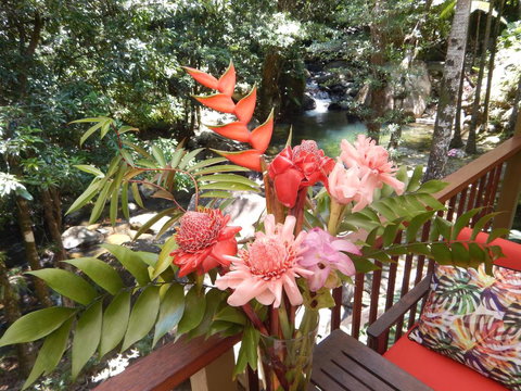 Daintree Secrets Rainforest Sanctuary - Mackay Tourism 1