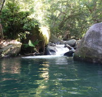 Daintree Secrets Rainforest Sanctuary - Mackay Tourism