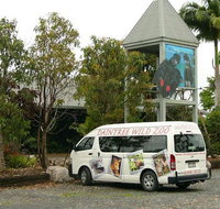 Daintree Wild Bed  Breakfast - Mackay Tourism