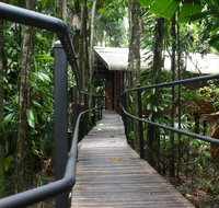 Daintree Wilderness Lodge - Mackay Tourism