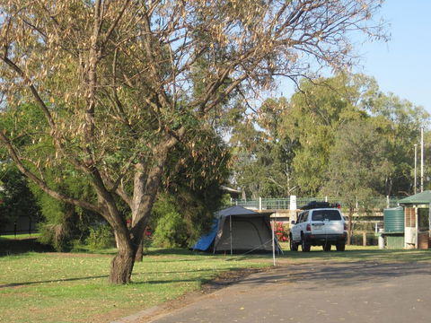 Dalby Tourist Park - Mackay Tourism 3
