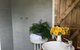 Dayboro - Blue Ridge Lavender Cottage - thumb 3