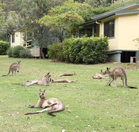 Depot Beach Cabins - Mackay Tourism