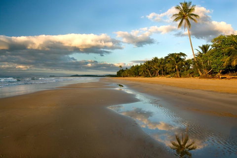 Driftwood - Mackay Tourism 1