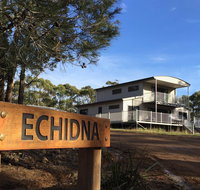Echidna on Bruny - Mackay Tourism