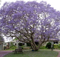Ecotel Narooma - Mackay Tourism