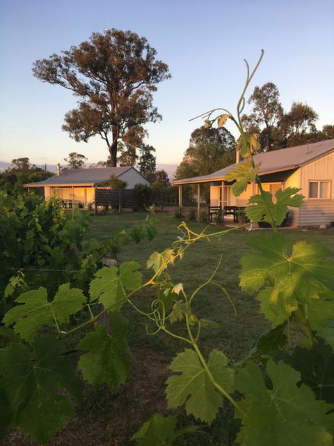 Emma's Cottage Vineyard - Mackay Tourism 3