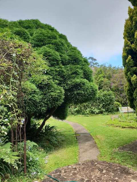 English Gardens - Forest Spa Suite - Mackay Tourism 0