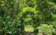 English Gardens - Garden Cottage - thumb 0