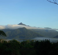 Epiphyte B  B - Mackay Tourism