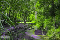 Book Esk Accommodation Vacations Mackay Tourism Mackay Tourism