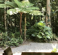Forest Views Daintree - Mackay Tourism