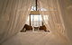 Frangipani Beach House - Newell Beach - thumb 1
